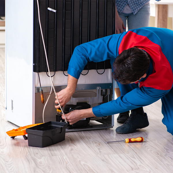 what are the common refrigerator repair services in Mora MO